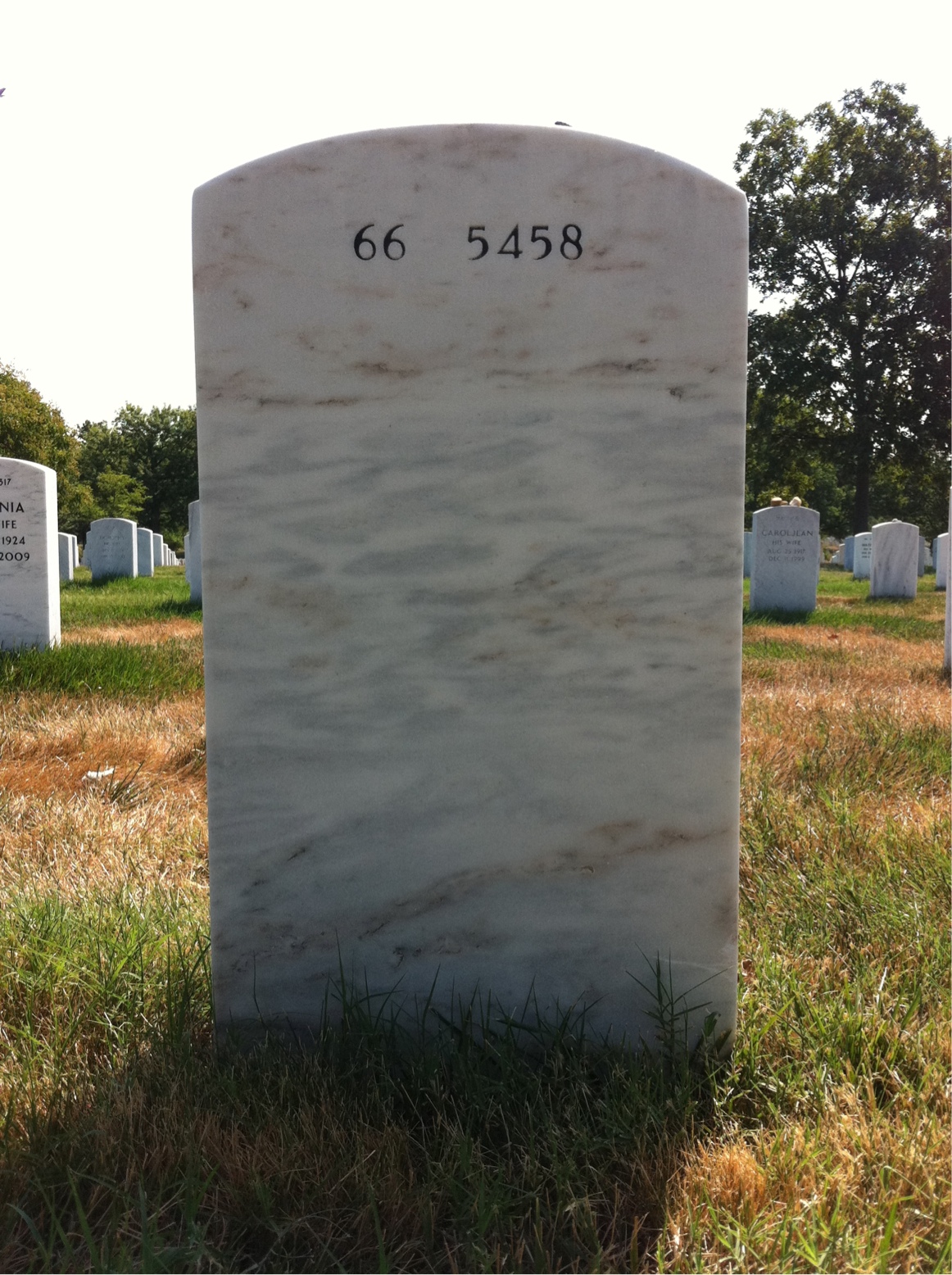 Back of headstone — Seth Wood