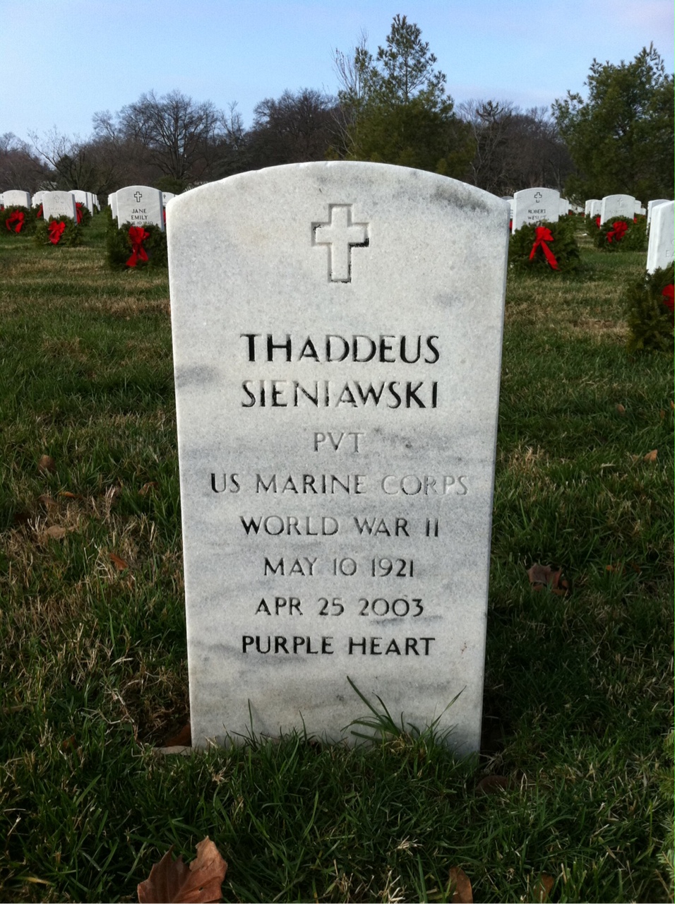 Thaddeus Sieniawski