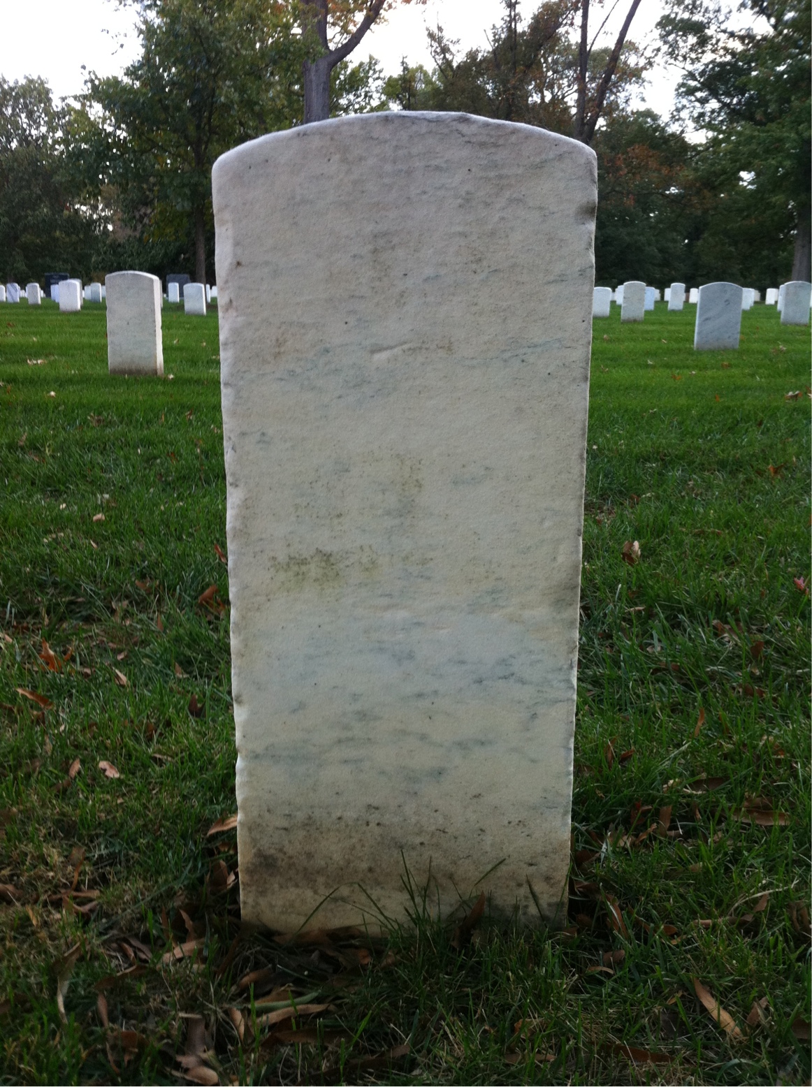 Back of headstone — Alexander Amond