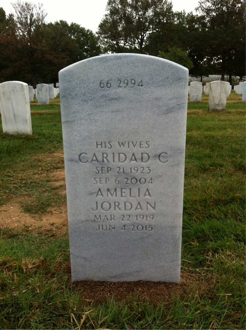 Back of headstone — Penrose Albright