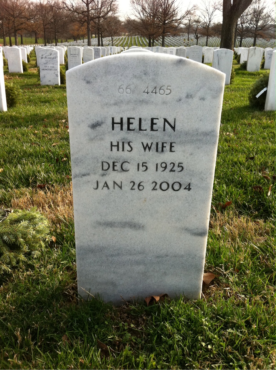 Back of headstone — Thaddeus Sieniawski