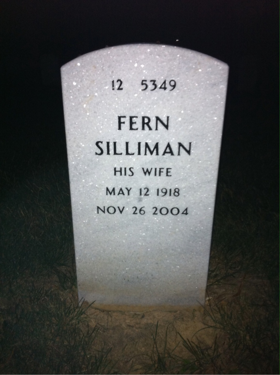 Back of headstone — Henry Mctighe