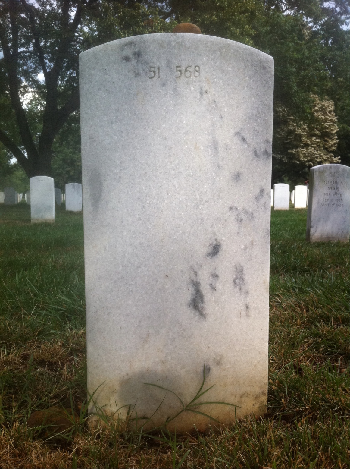 Back of headstone — William Douglas Porter