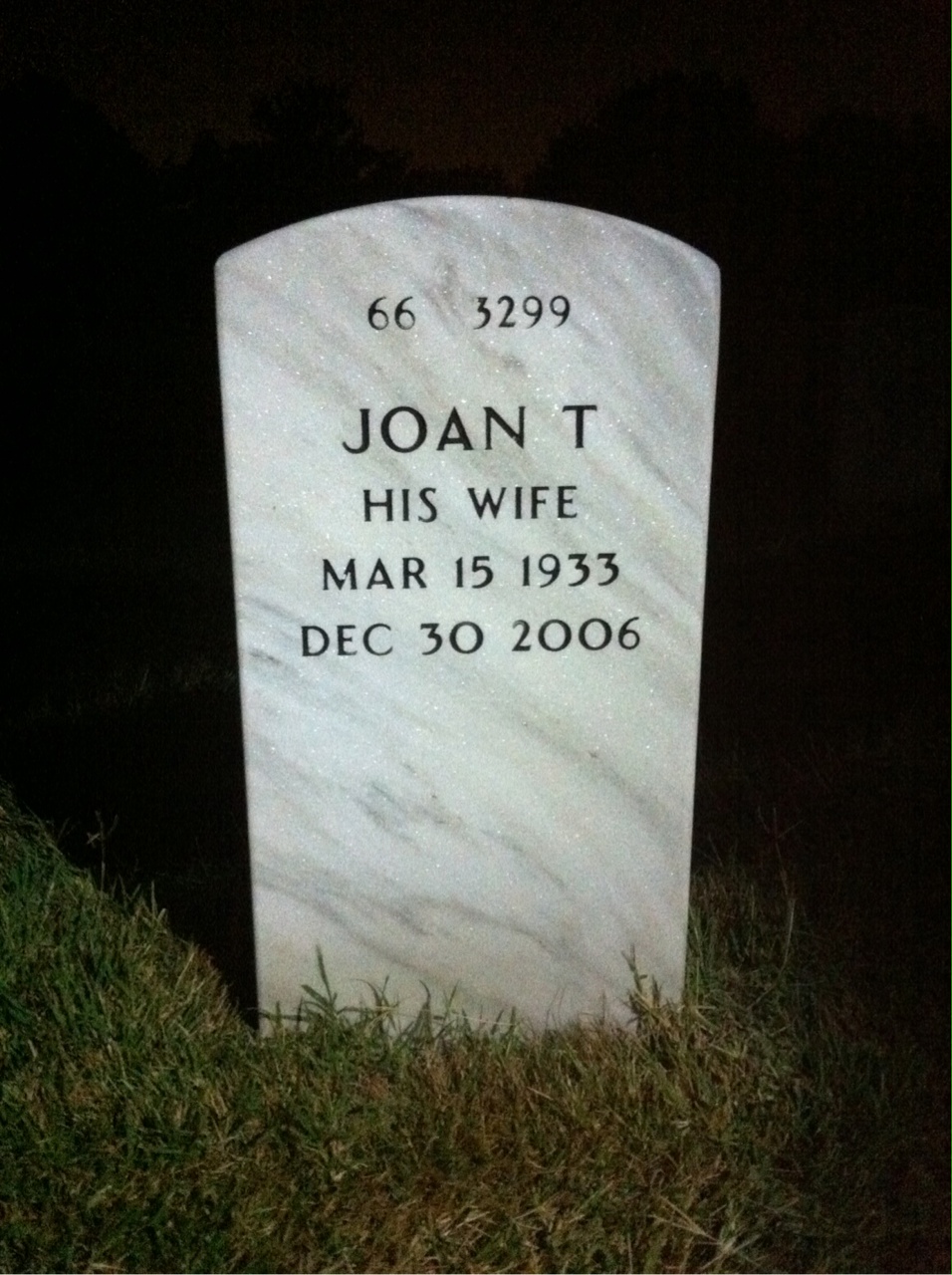 Back of headstone — Franklin Branham