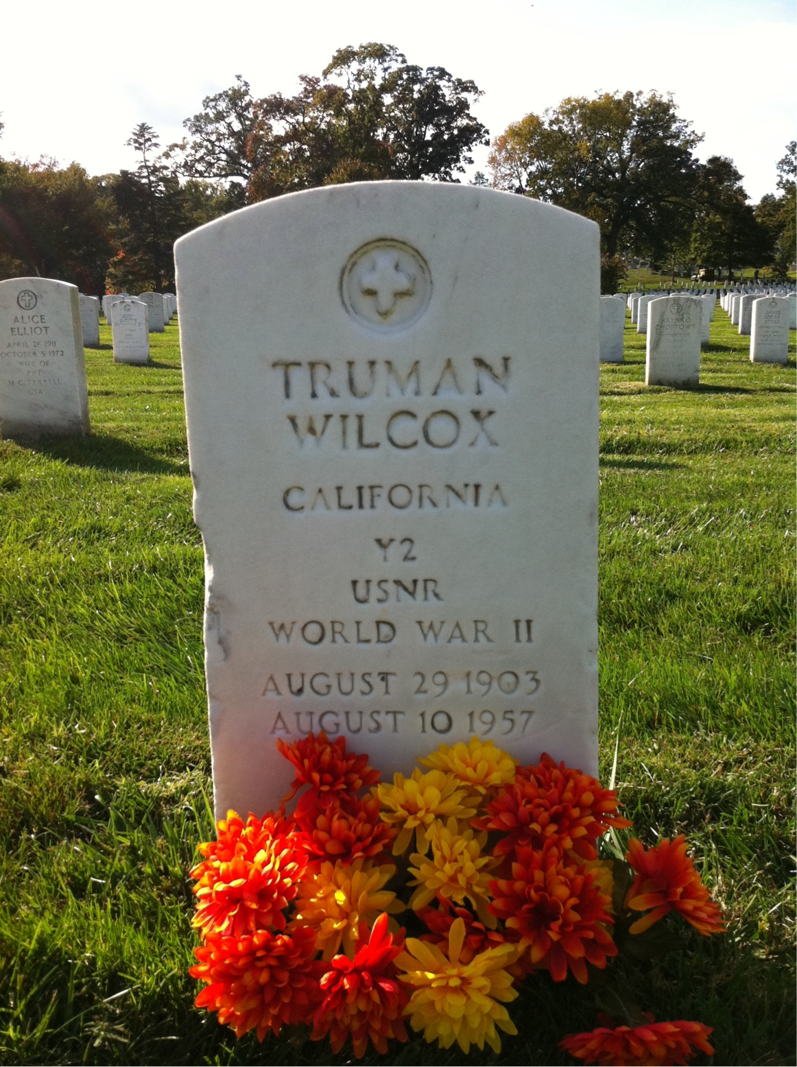 Truman Wilcox