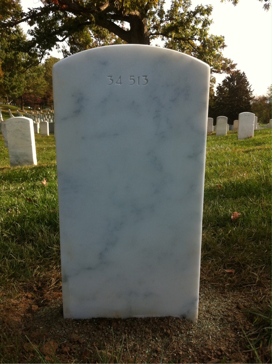 Back of headstone — Troy Allen