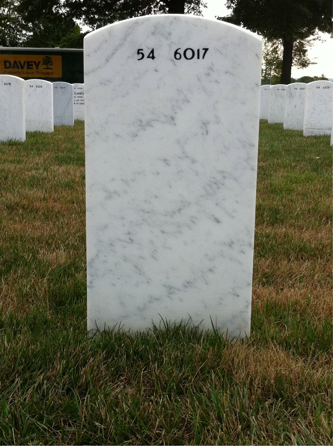 Back of headstone — Bertie Bartee