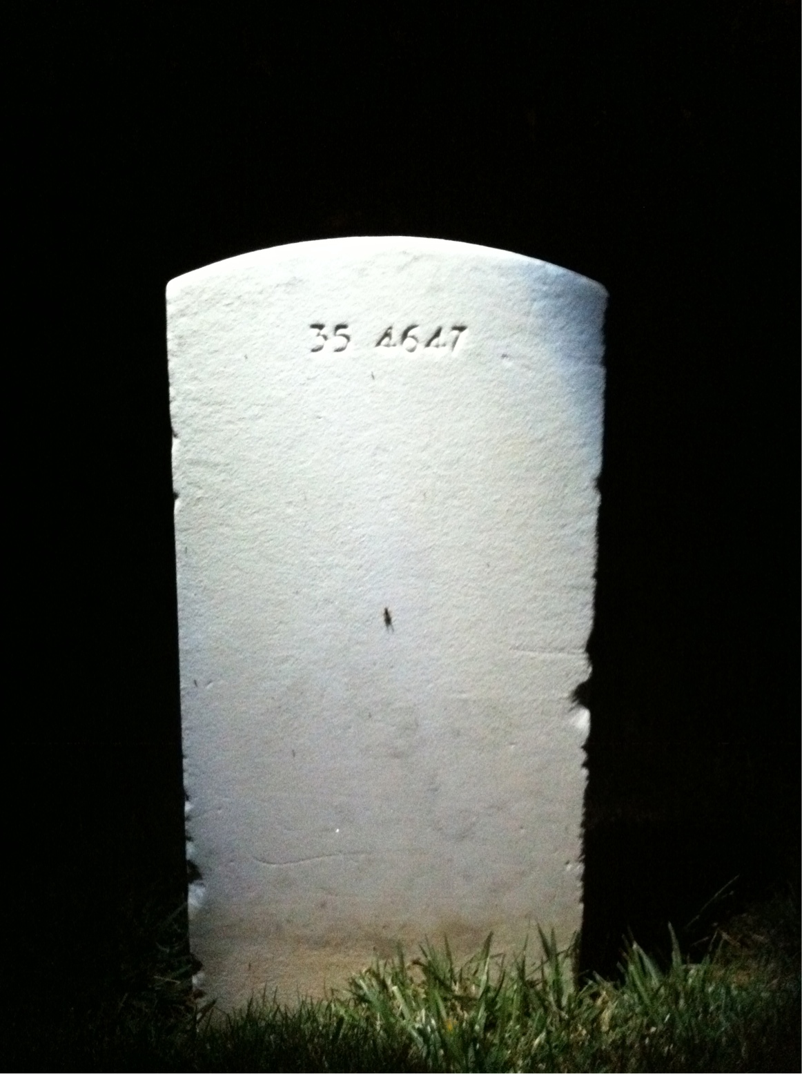 Back of headstone — William Locke Sloop