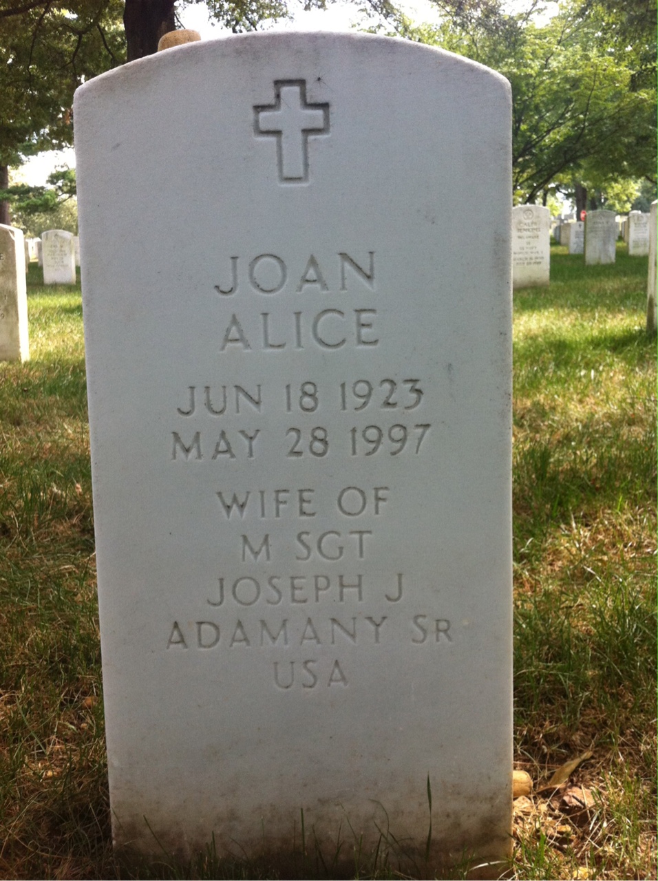 Joan Adamany