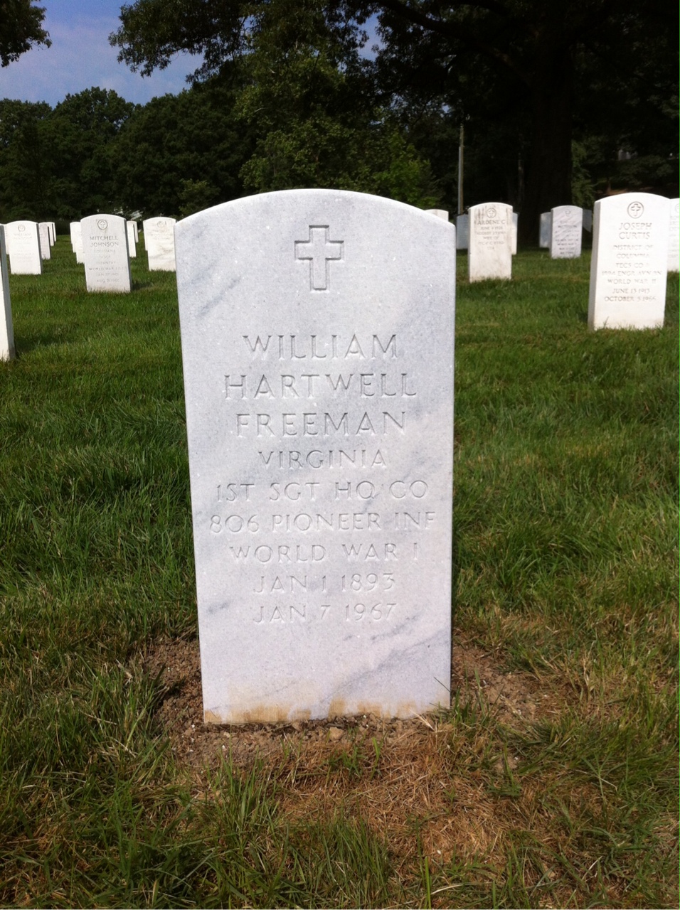 William H Freeman