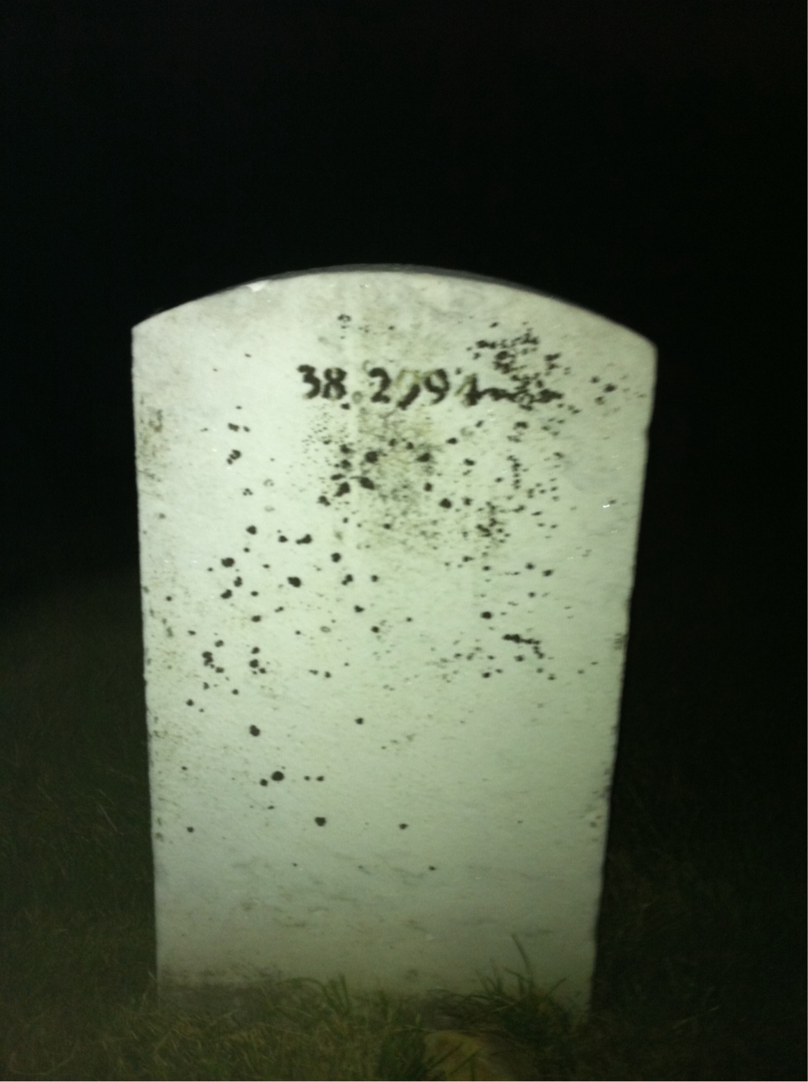 Back of headstone — Willie Tyler