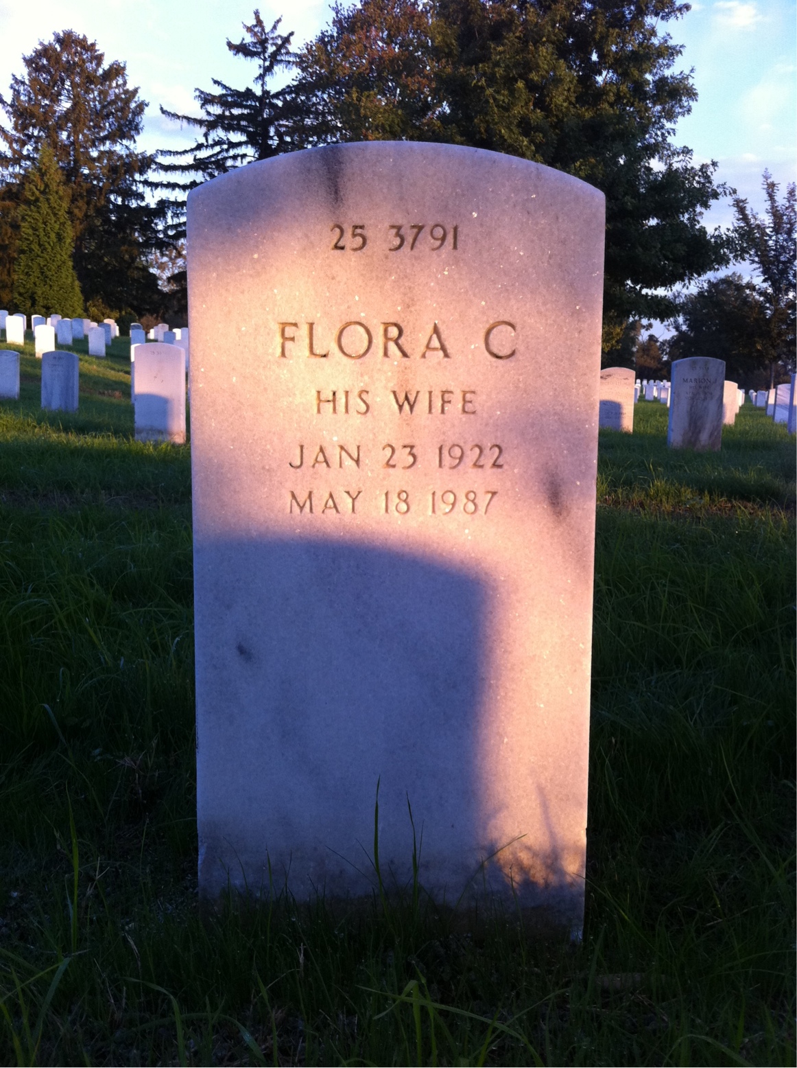 Back of headstone — Flora Aiello