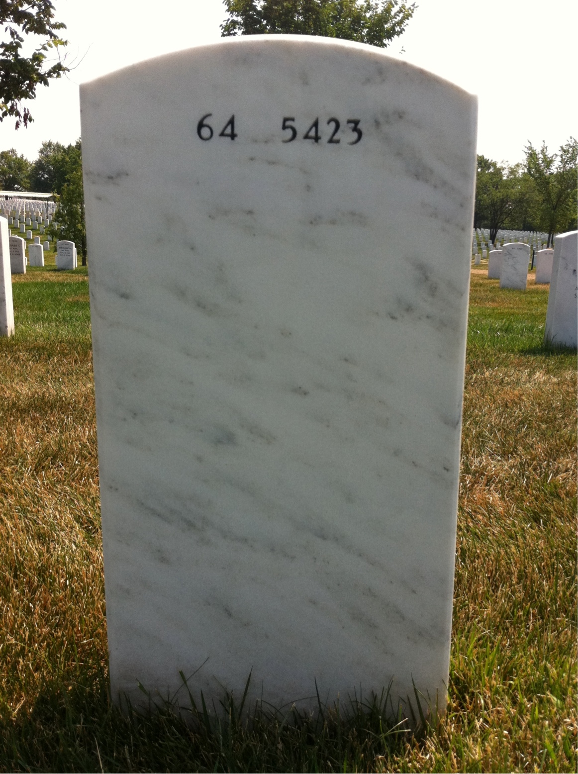 Back of headstone — George Safreed