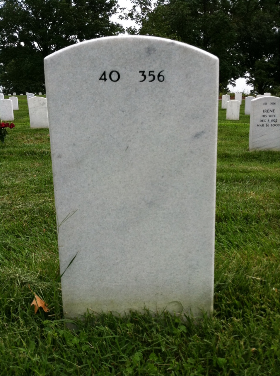 Back of headstone — Houston Reeves