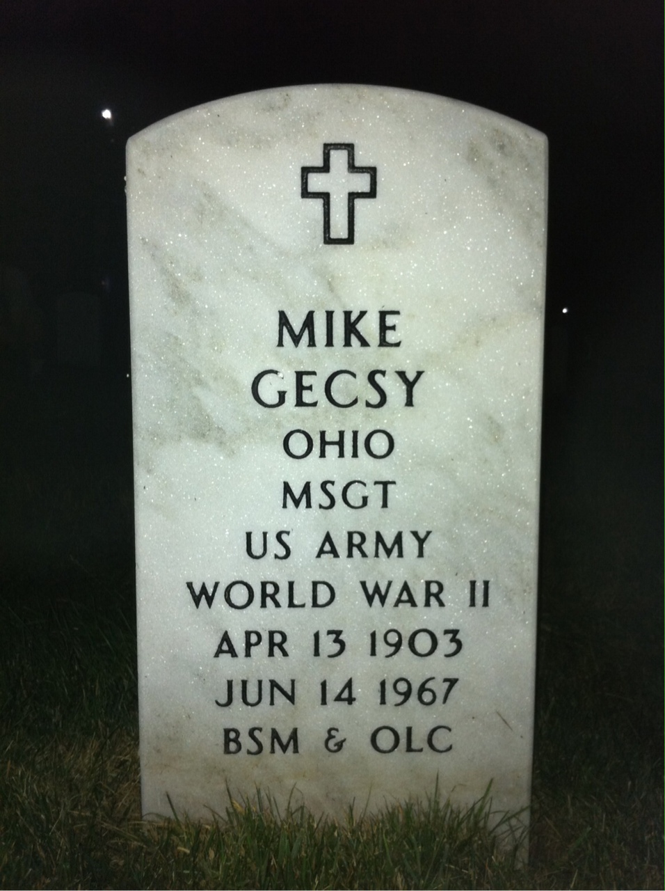 Mike Gecsy