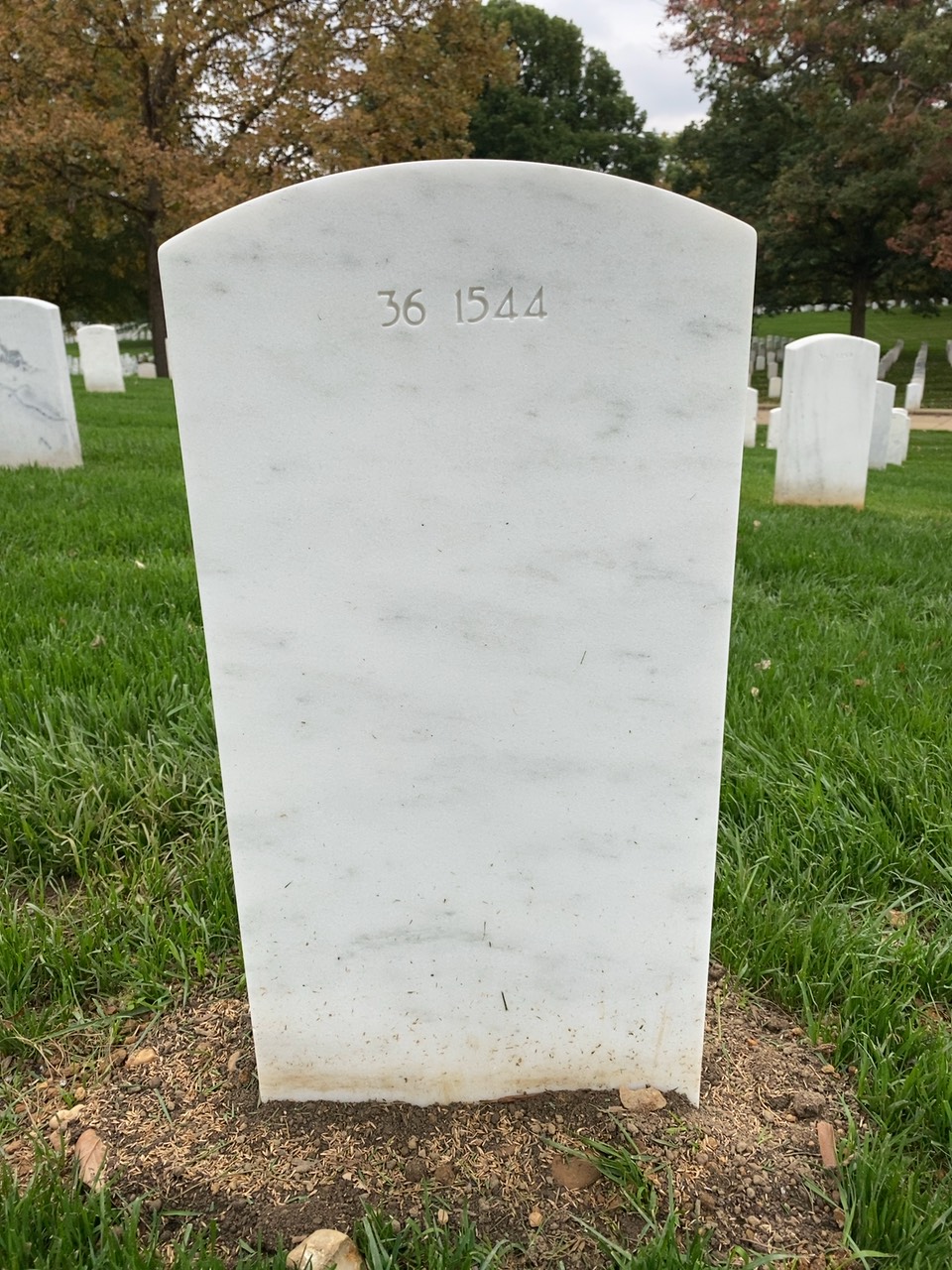 Back of headstone — William D Odom