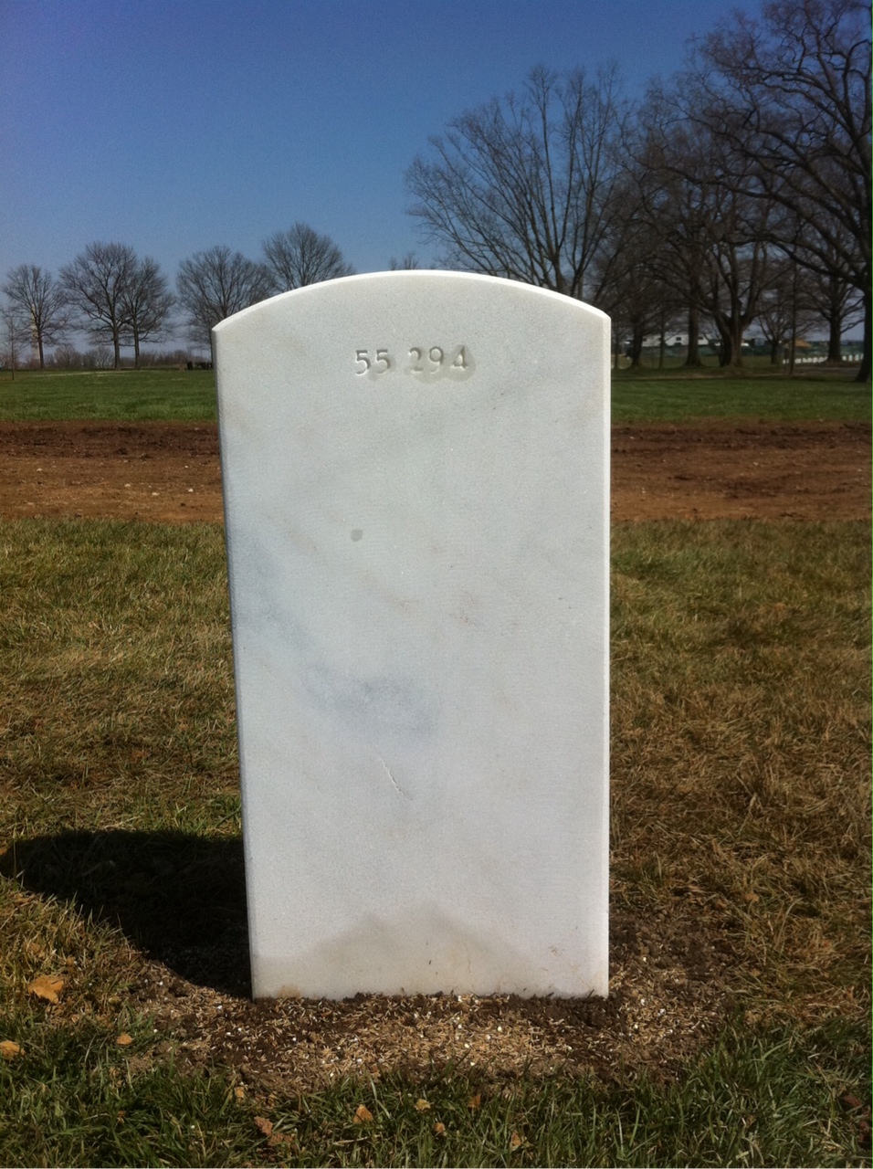 Back of headstone — Albert Mitchell