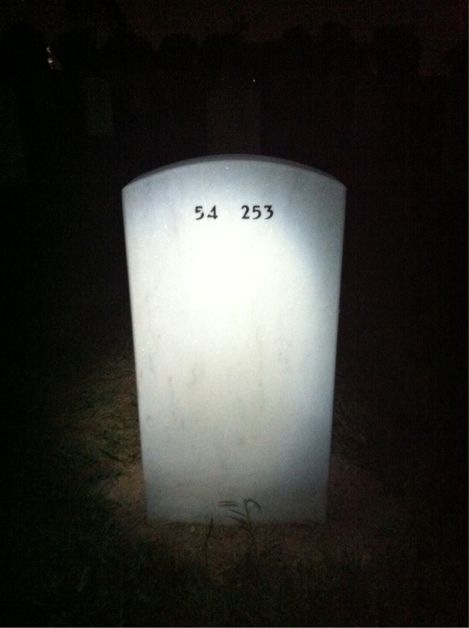 Back of headstone — George Lupsa
