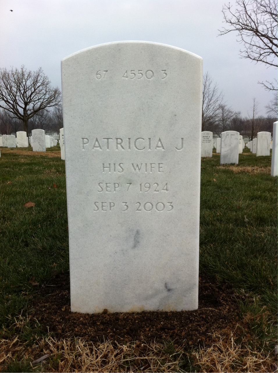 Back of headstone — Thomas Moss
