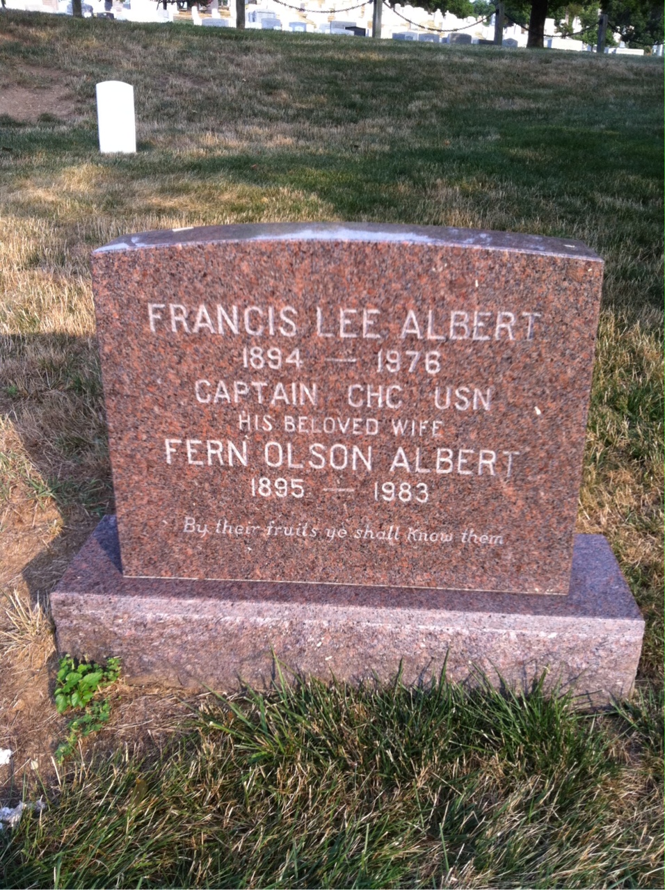 Fern Albert