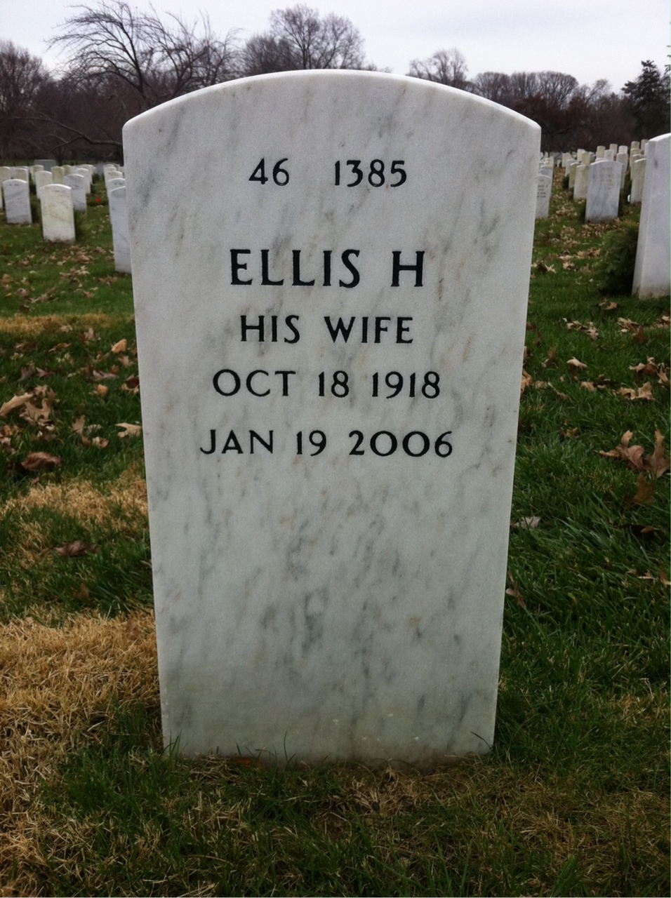 Back of headstone — David Iacone