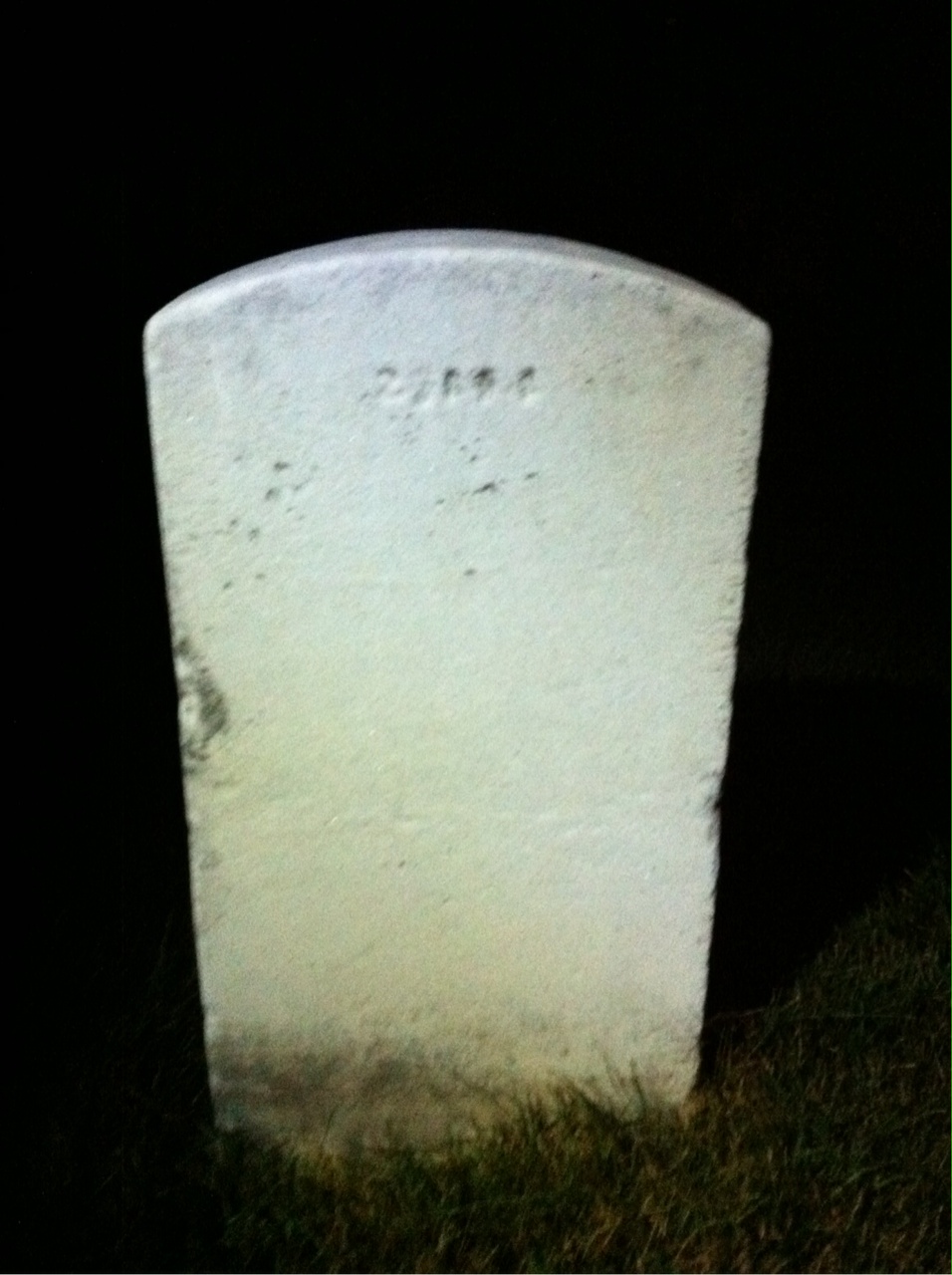 Back of headstone — Lewis Alden