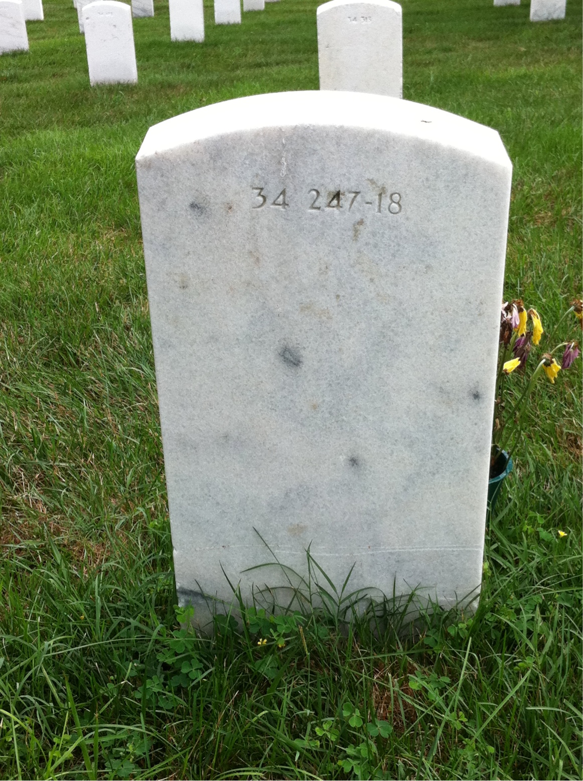 Back of headstone — Dale Anthony