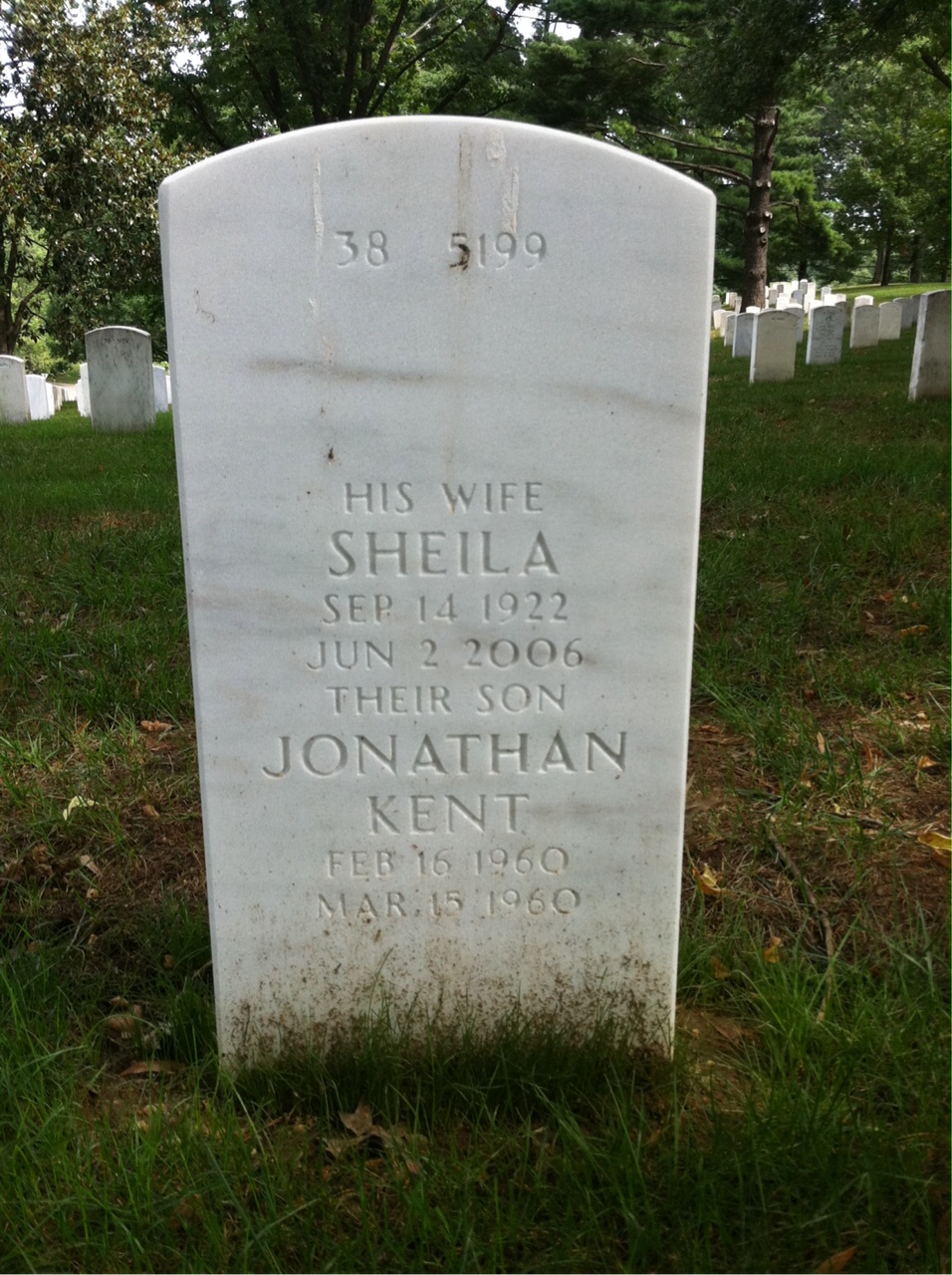 Back of headstone — Everette Damron