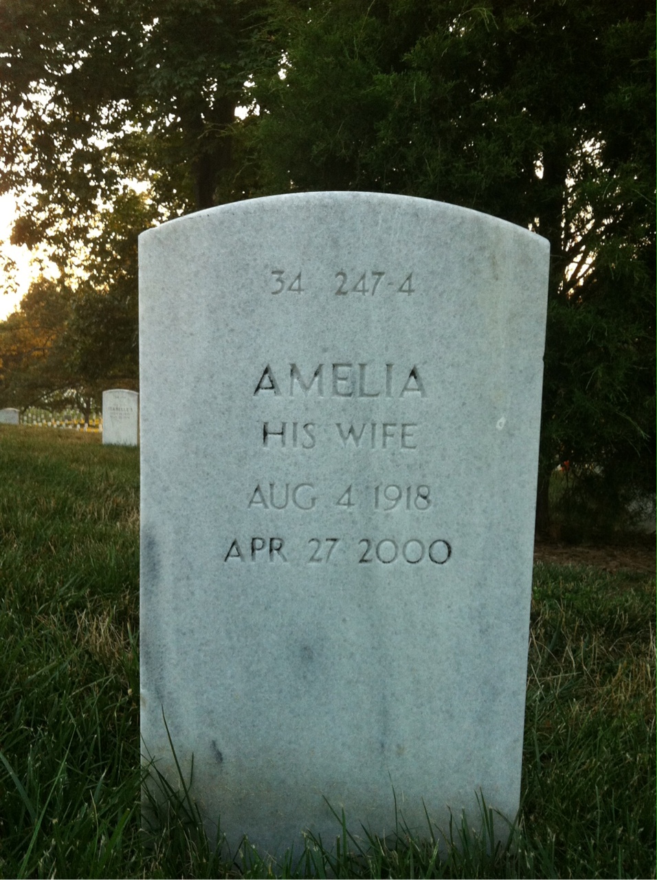 Back of headstone — Homer C Campbell
