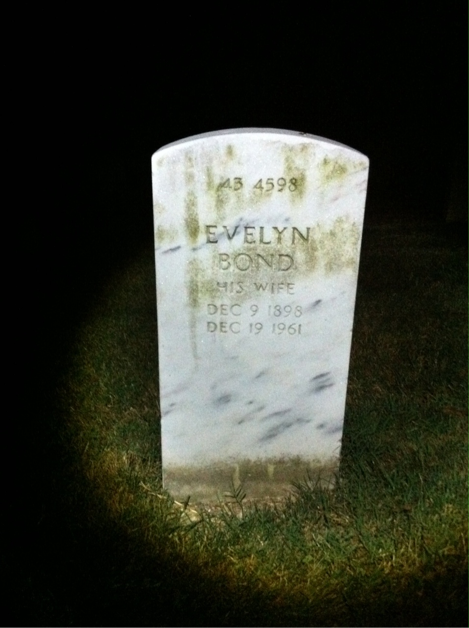 Back of headstone — Wilbur S Foresman
