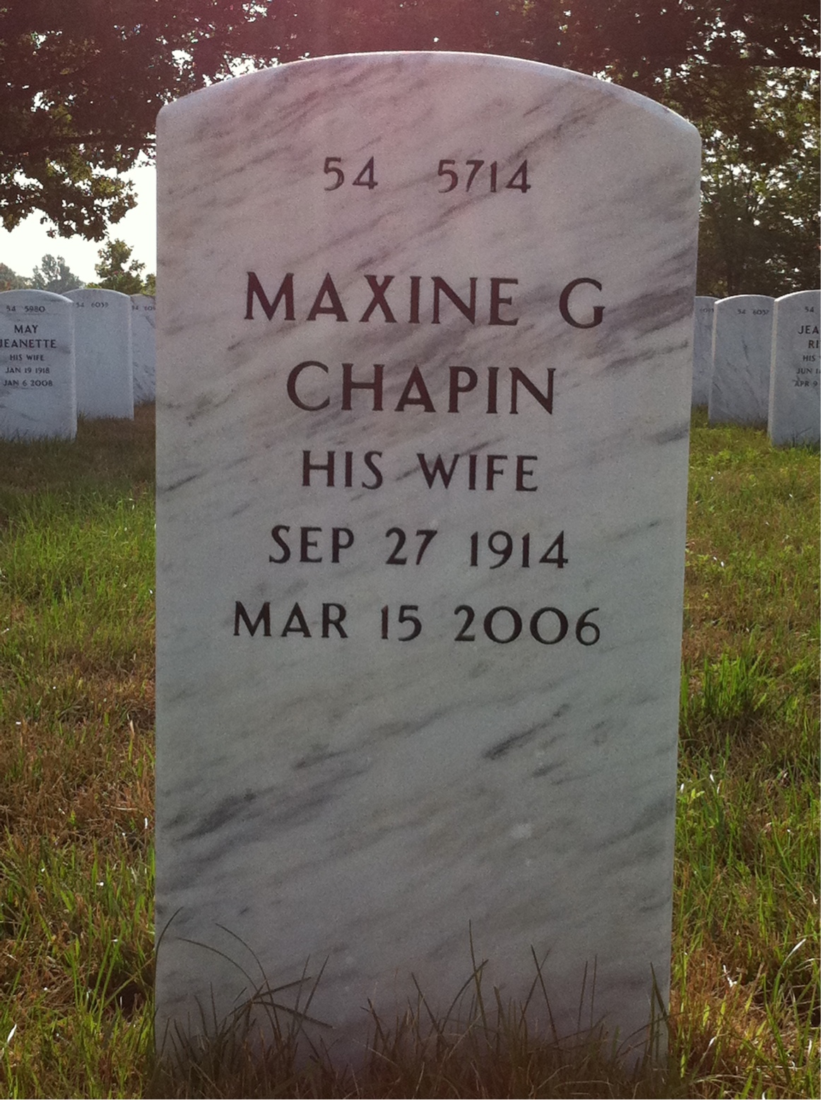 Back of headstone — Wilford Nelson