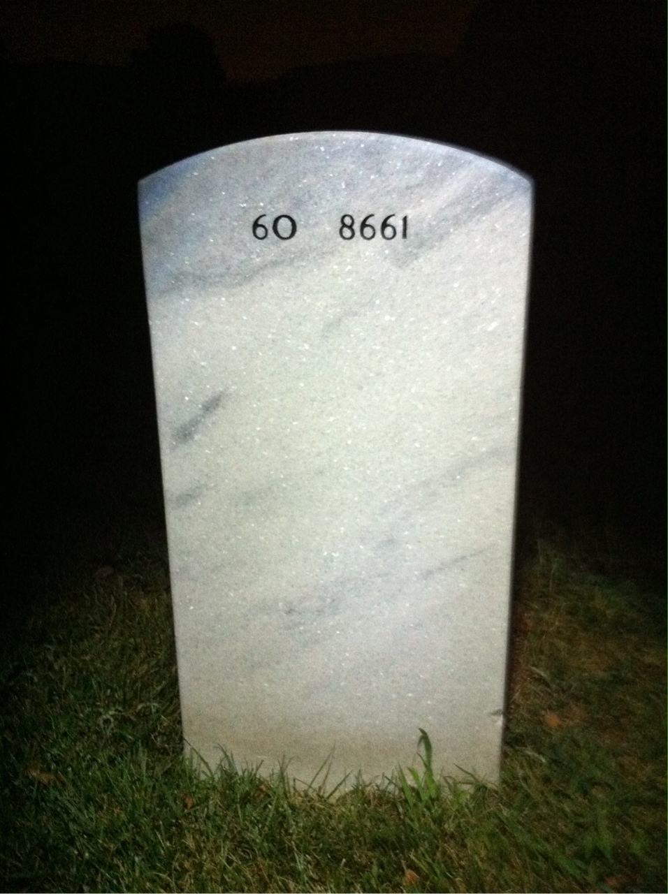 Back of headstone — Millard Wells