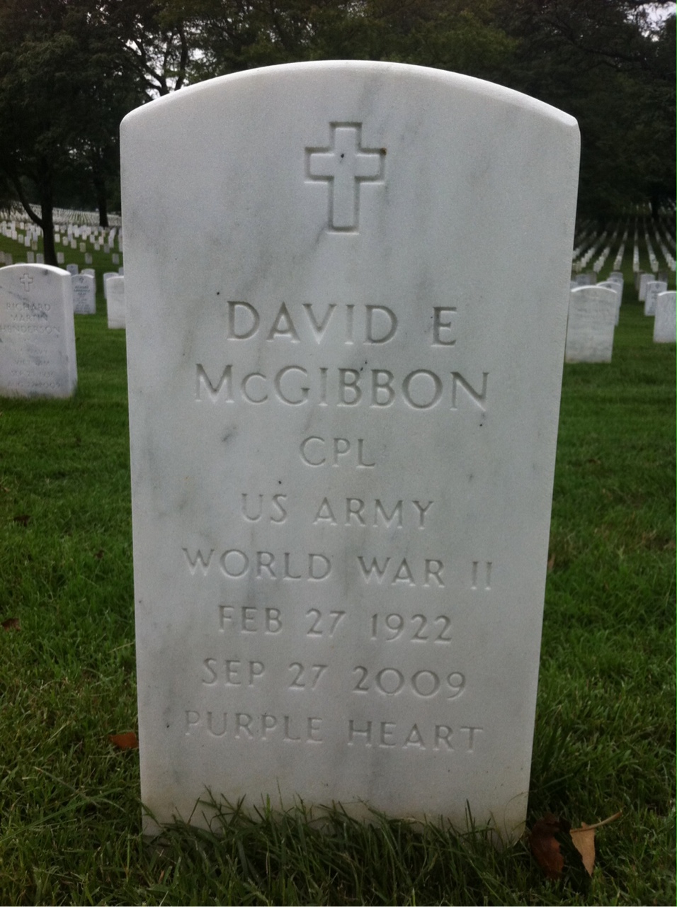 David Mcgibbon