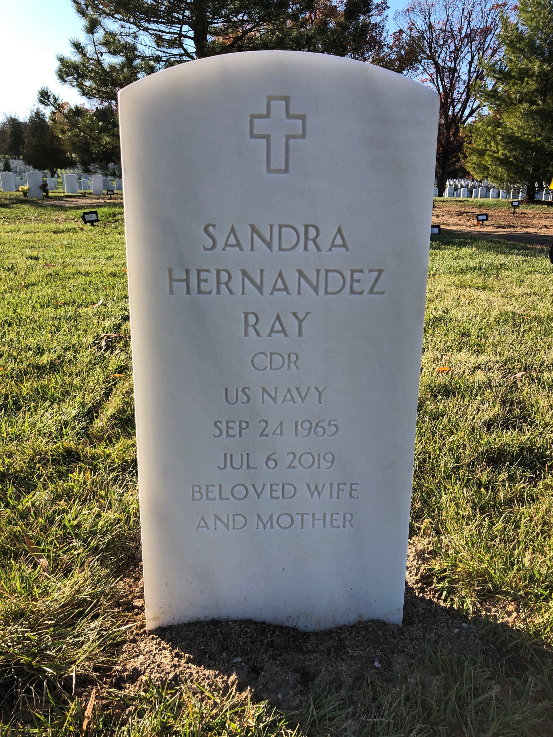 Sandra H Ray