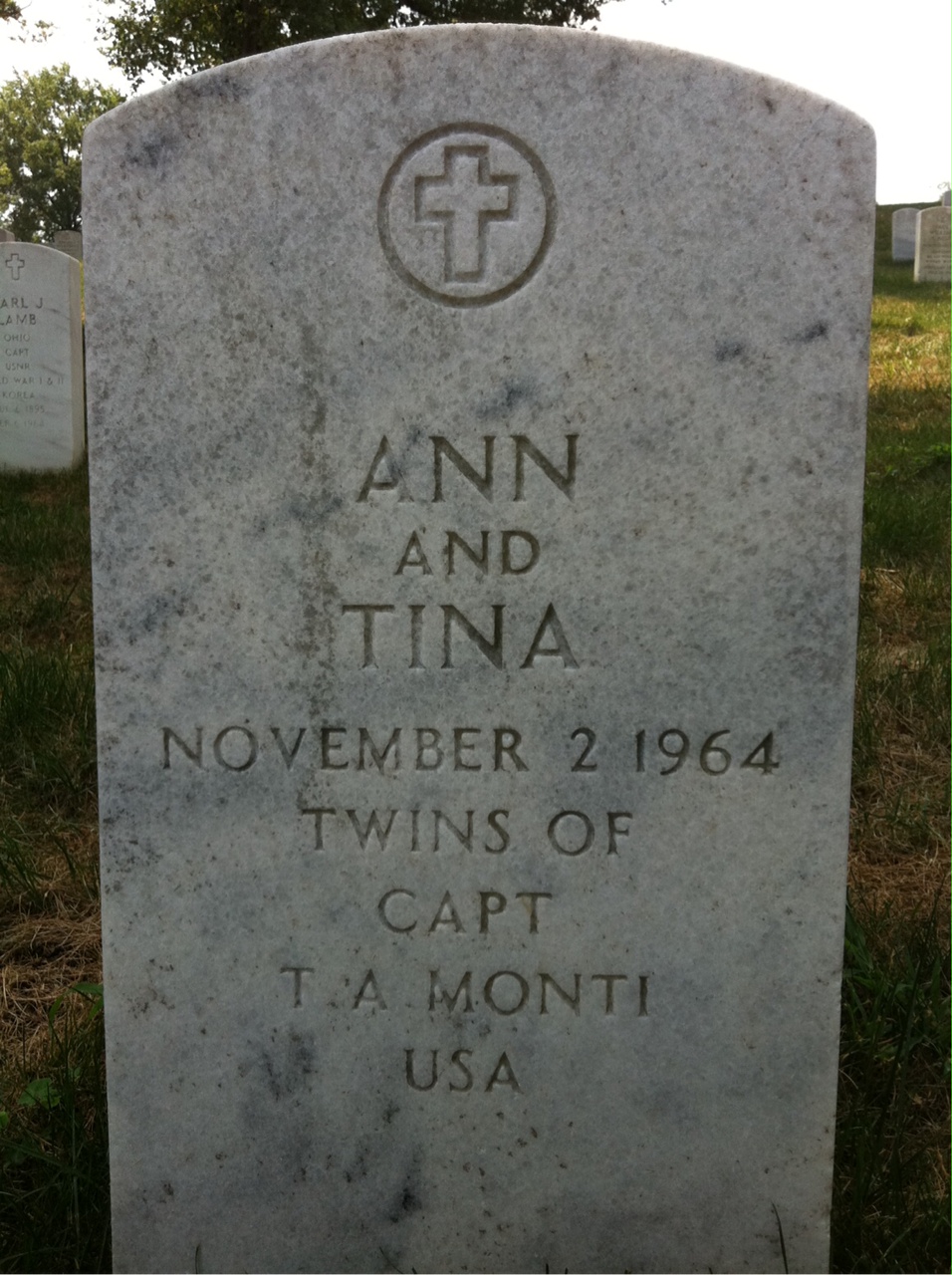 Ann Monti