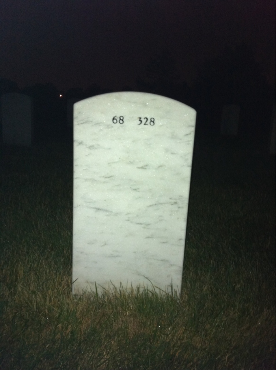 Back of headstone — William Teir