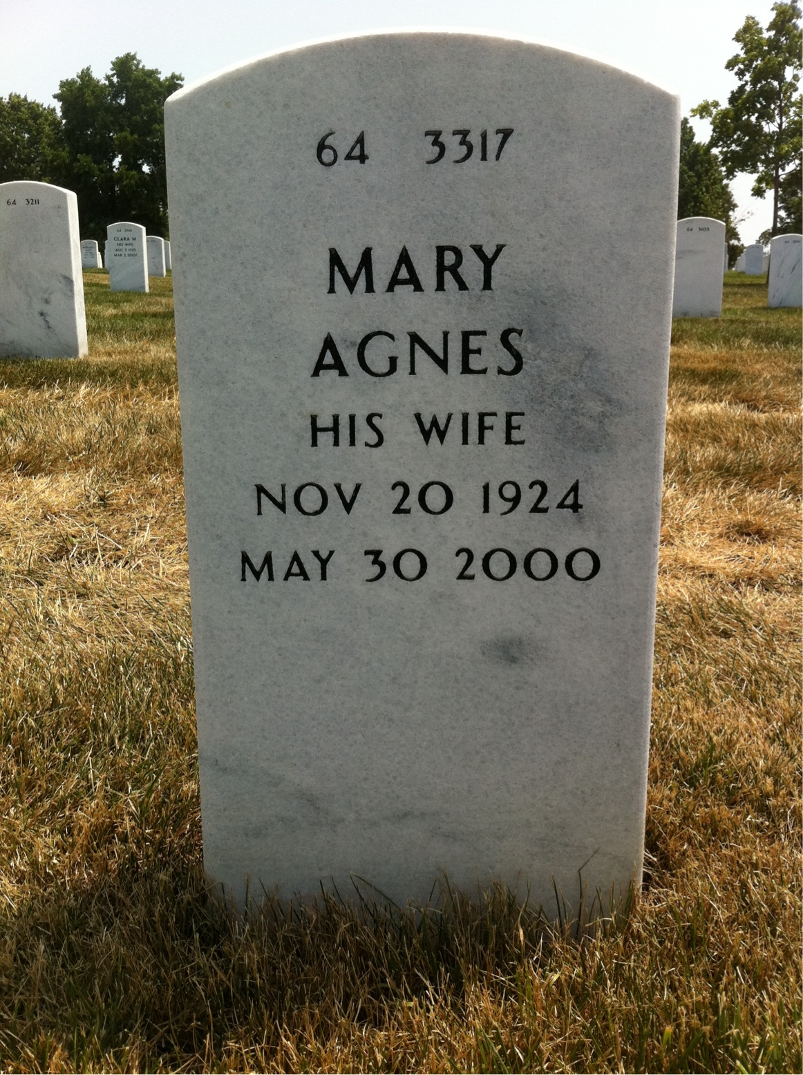 Back of headstone — Andrew Ferry