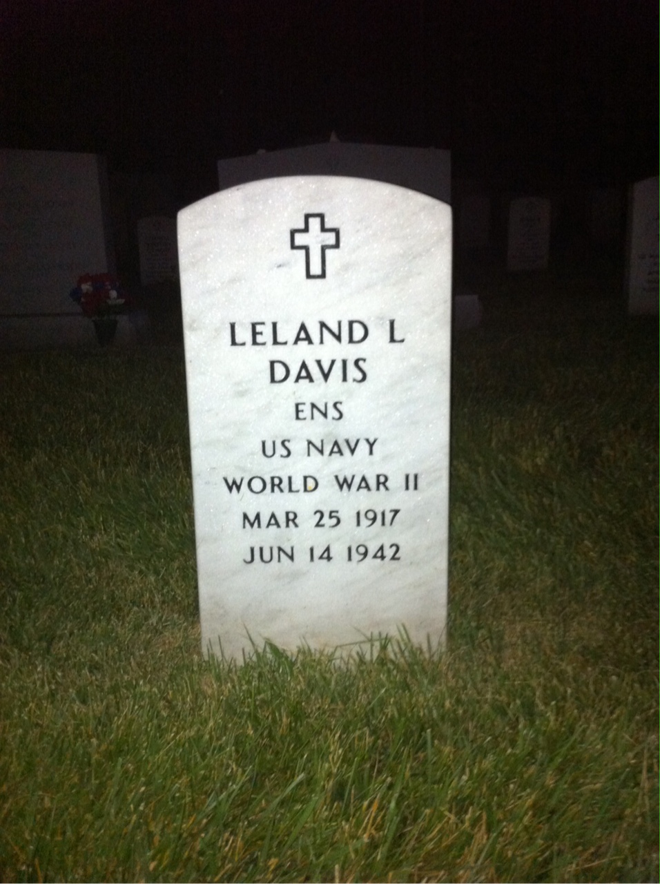 Leland Davis