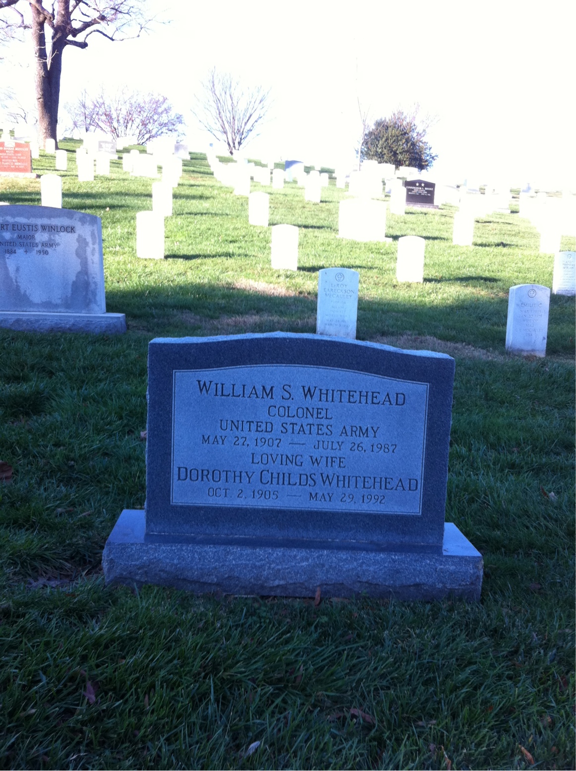 William S Whitehead