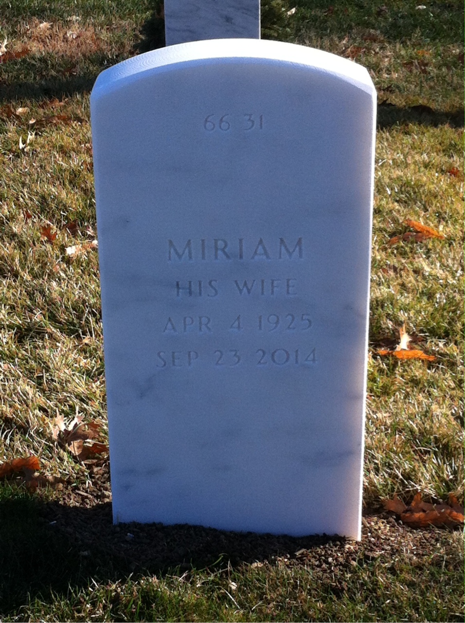 Back of headstone — Lewis Pitt
