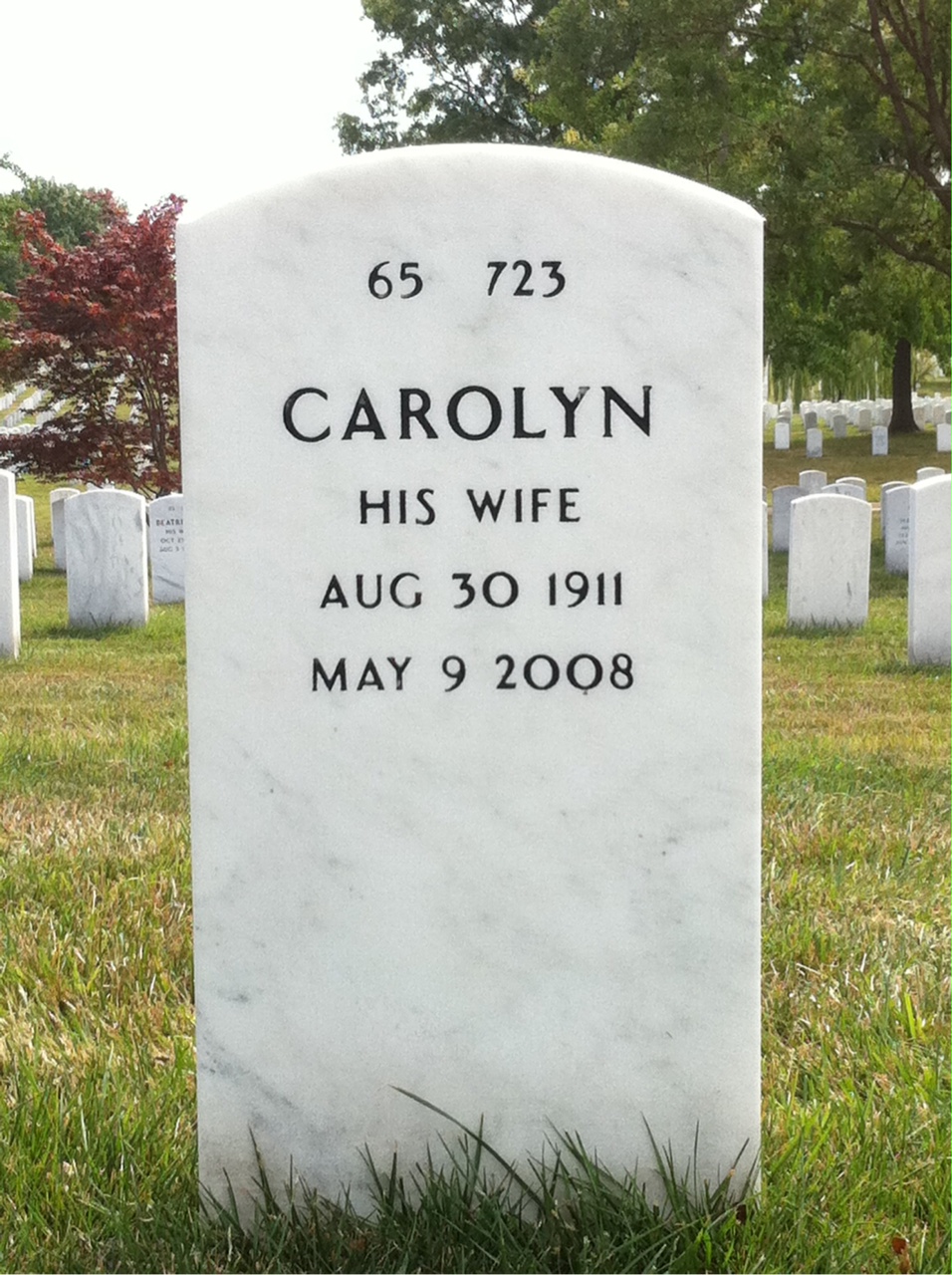 Back of headstone — William Skinner