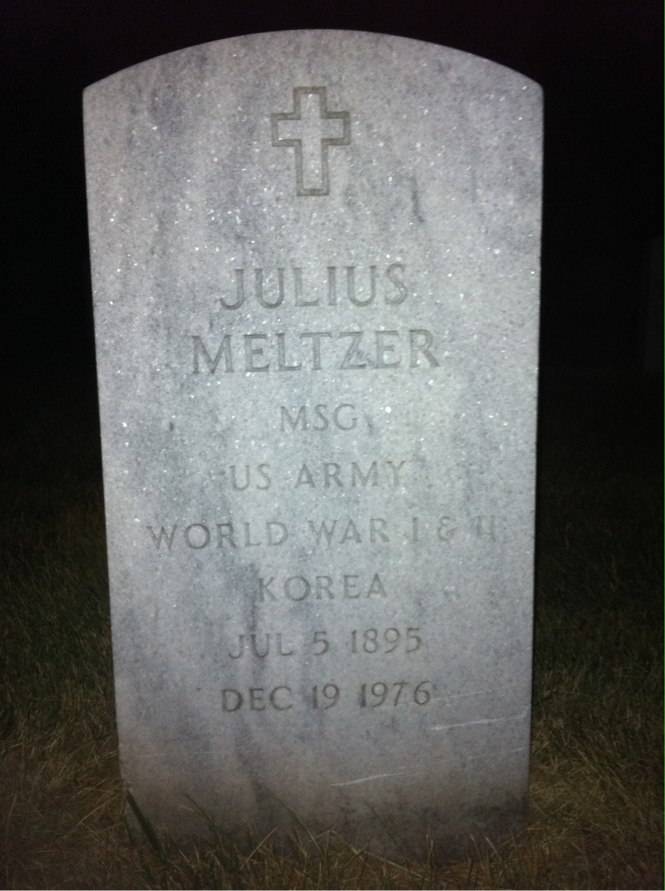 Julius Meltzer