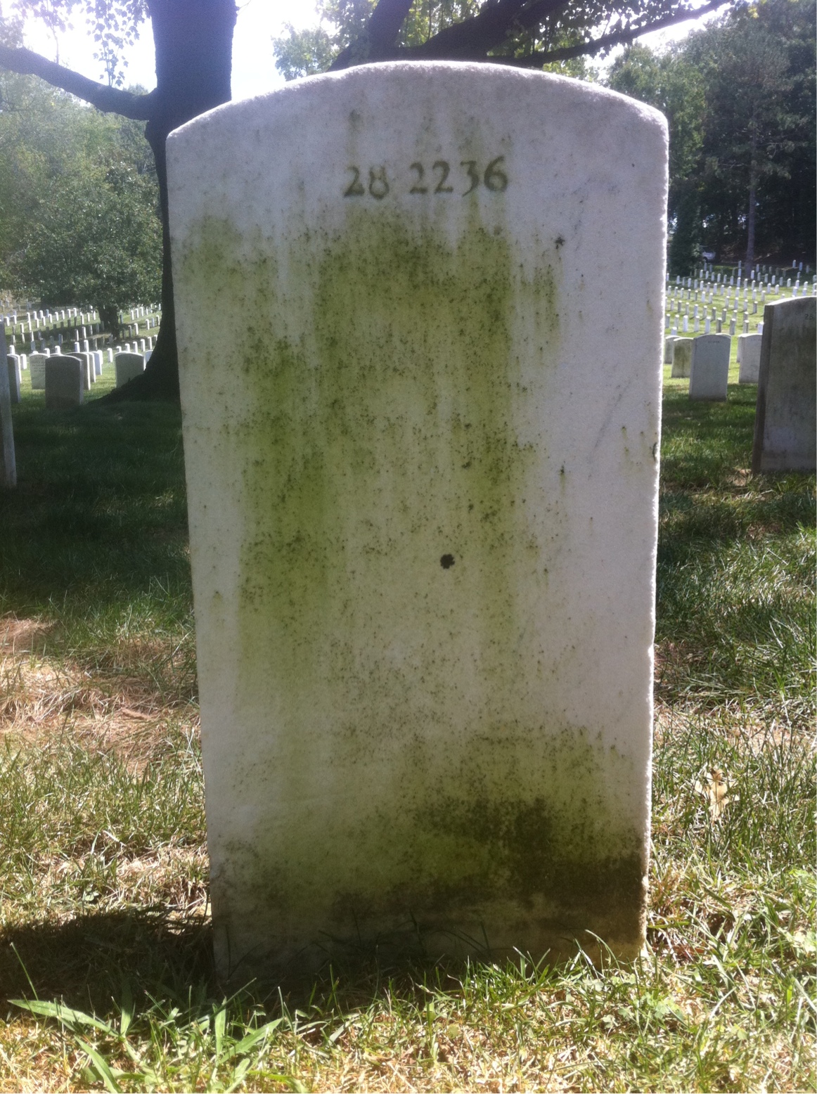 Back of headstone — Winifred Mohl