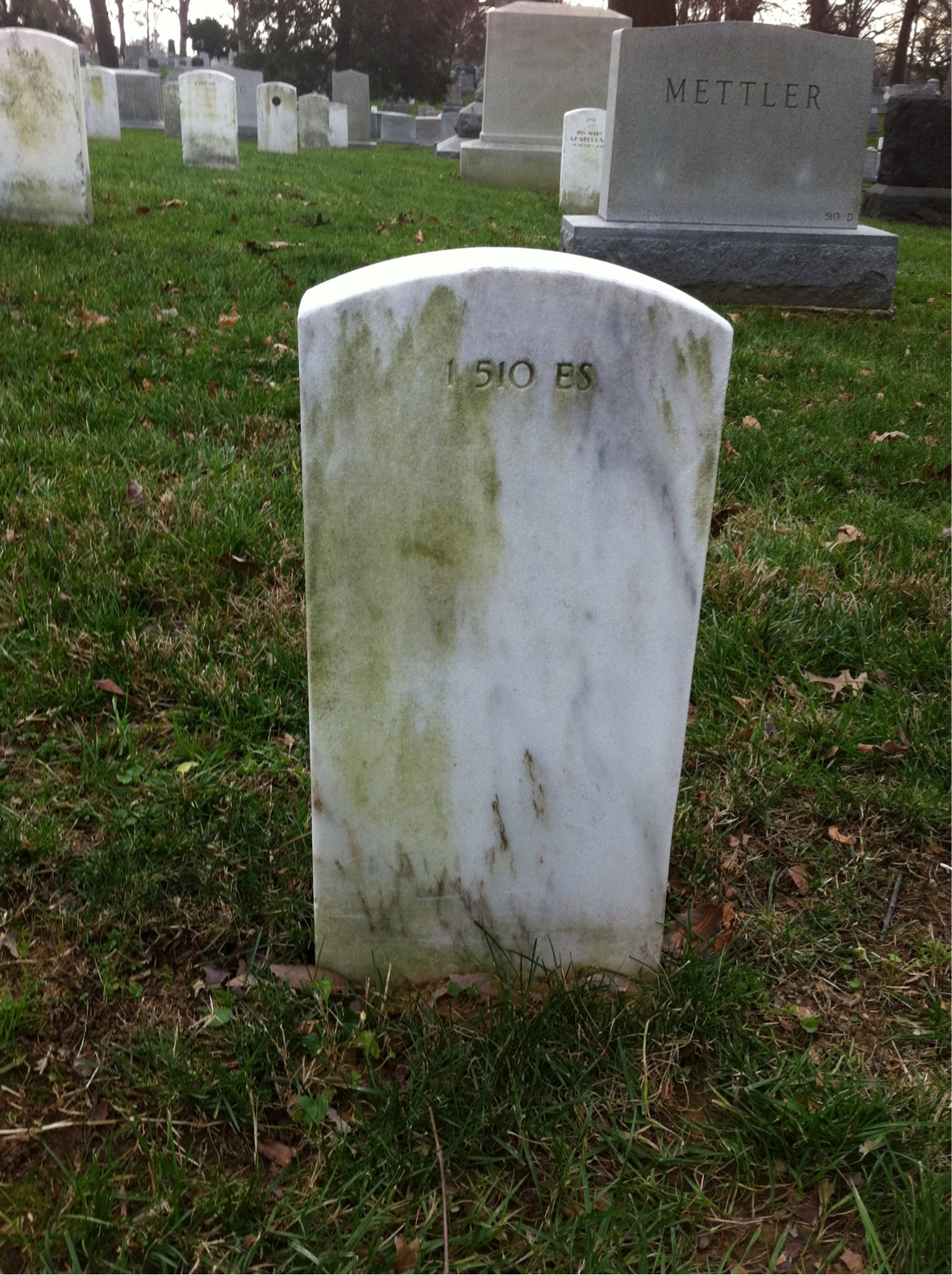 Back of headstone — Julia Montgomery