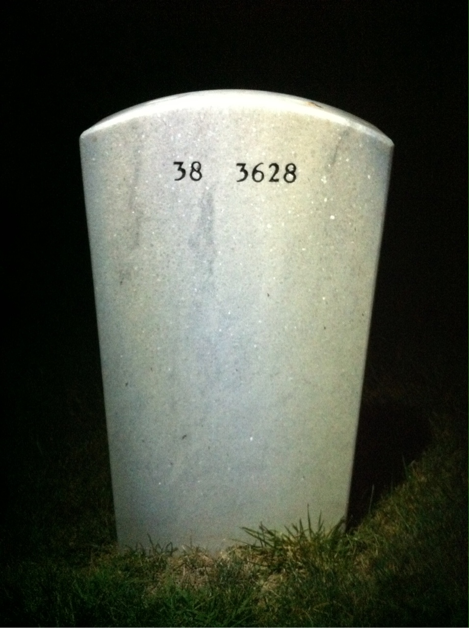 Back of headstone — Nelson Triplett