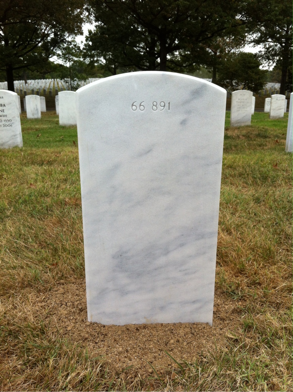Back of headstone — John Alvis