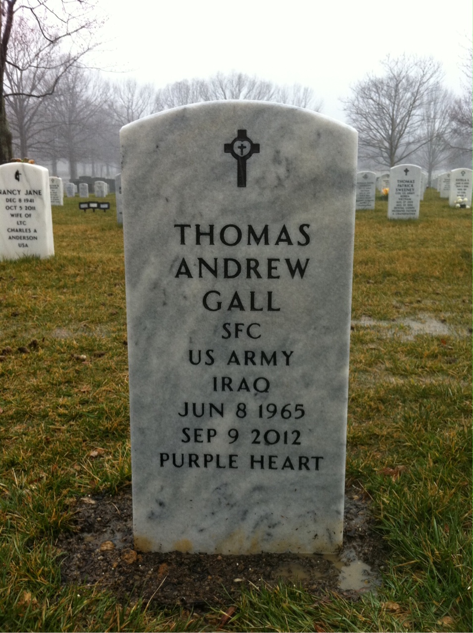 Thomas A Gall