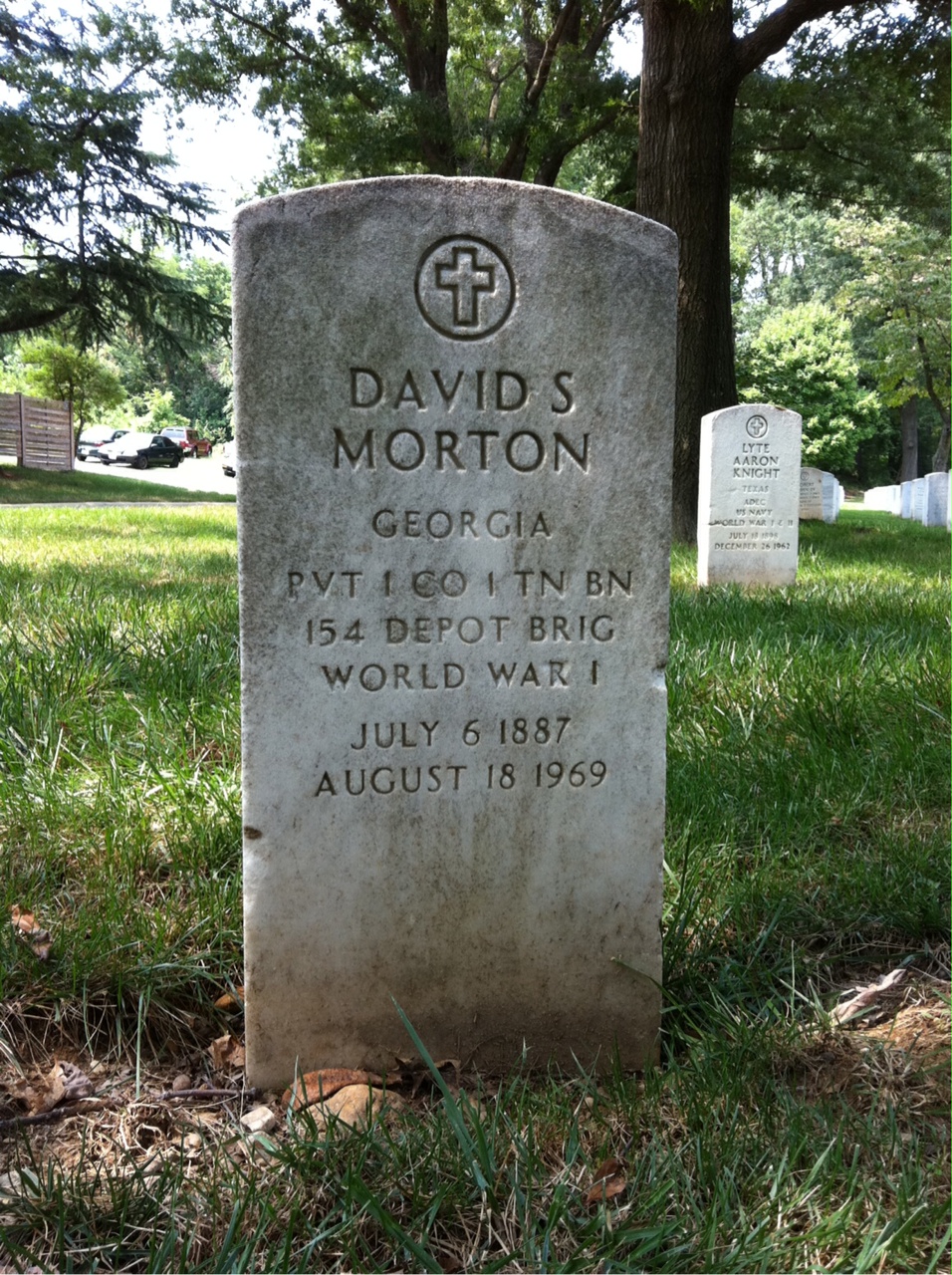David Morton