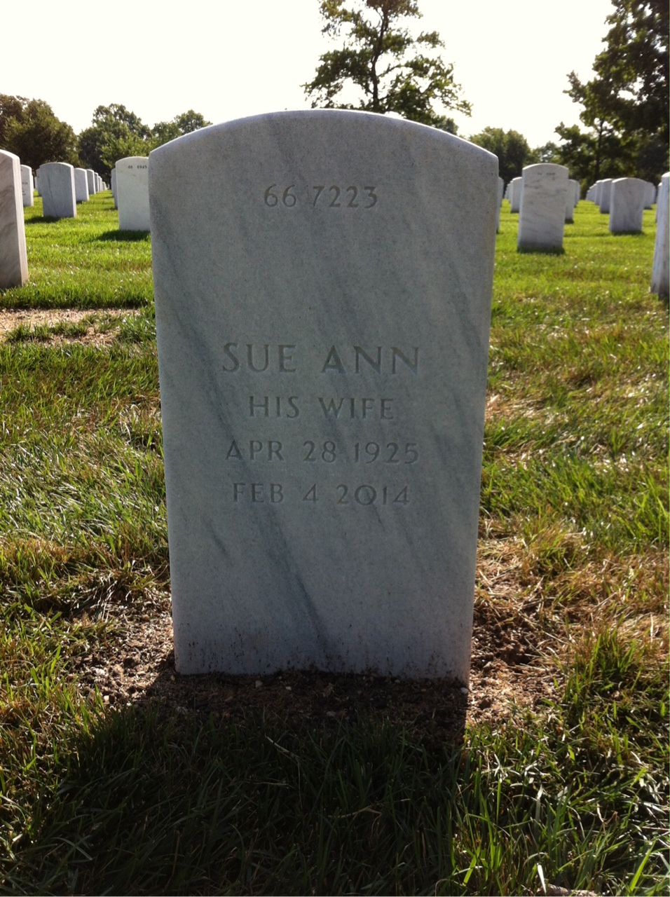 Back of headstone — Lawrence Ogden