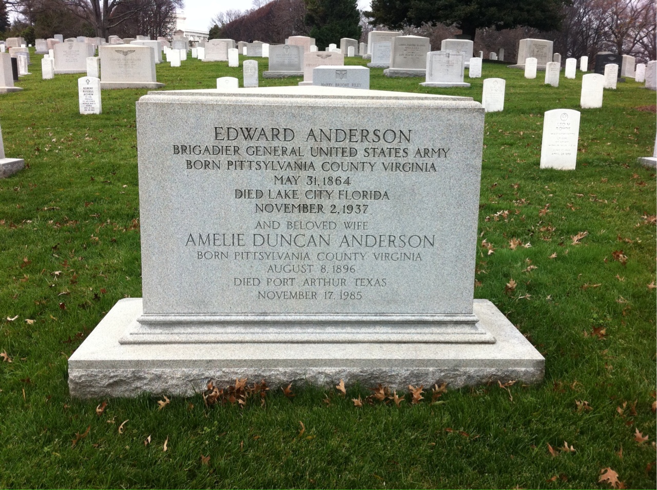 Amelie Anderson